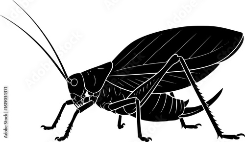 katydid silhouette line art vector illustration with a white background