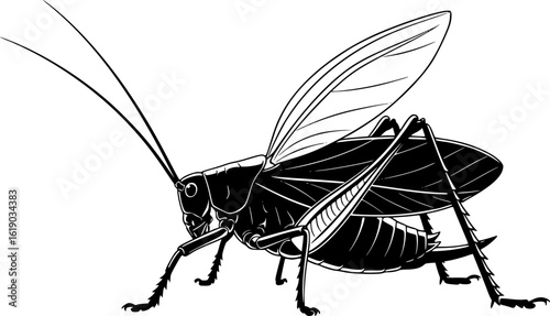 katydid silhouette line art vector illustration with a white background