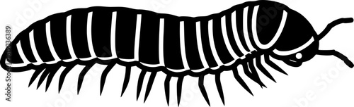insect illustration depicts a segmented black millipede arthropod, displaying distinctive body structure