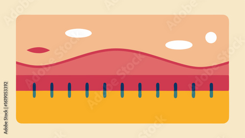 Elasticity Measurement A ruler or measuring tape p on skin to visualize increased elasticity and firmness attributed to enhanced elastin levels.
