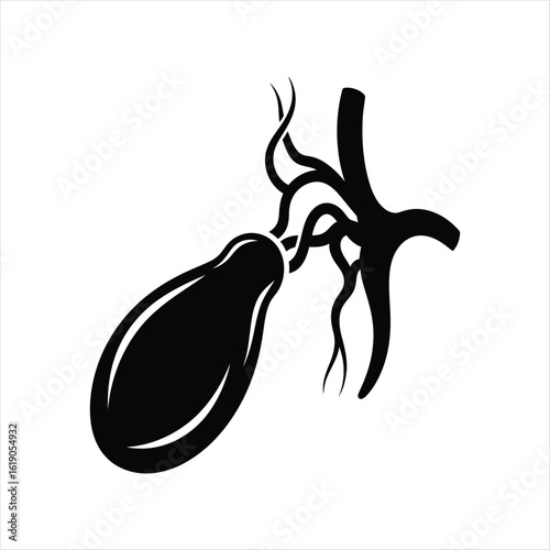 Black Gallbladder Anatomy Icon with Ducts human anatomy