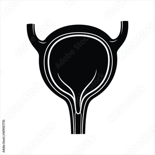 Black Silhouette of Human Bladder and Ureters human anatomy