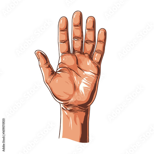 Realistic human hand illustration with open palm