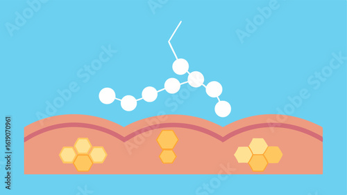 Collagen Boost A graphic illustrating how nanotechnology stimulates collagen production within the skin resulting in a plumper and more youthful texture.