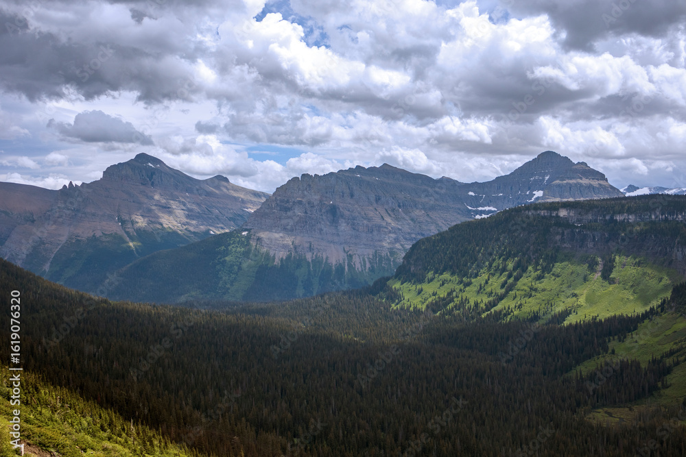 Obraz premium Glacier National Park in June