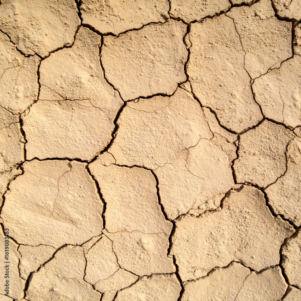Obraz premium Abstract Beige Cracked Soil Texture of Dry Earth in Harsh Daylight with Detailed Patterns