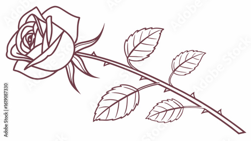 Elegant Rose Stem Illustration, Nature, Graphic Design, Minimalist Style, Botanical Art