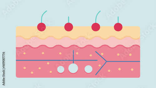 Dermal Matrix Visualization of the extracellular matrix in the dermis with an emphasis on how collagen networks provide structure and support to the skin.