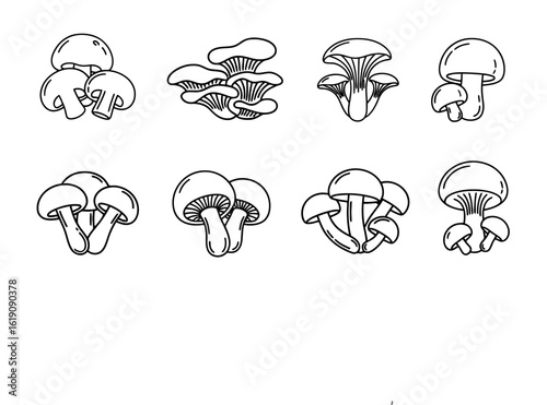 Mushroom Assortment of Champignon Oyster Chanterelle and Shiitake Line Drawing Set