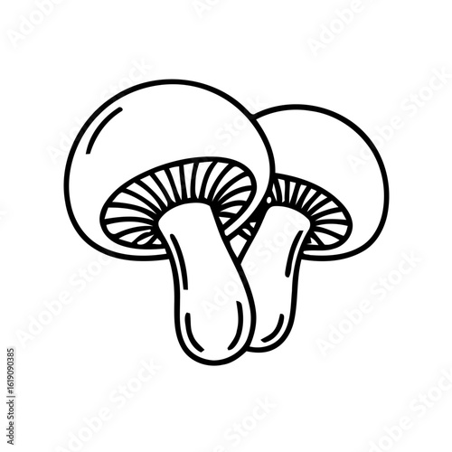 Illustration of two mushrooms with detailed gills and rounded caps on a white background