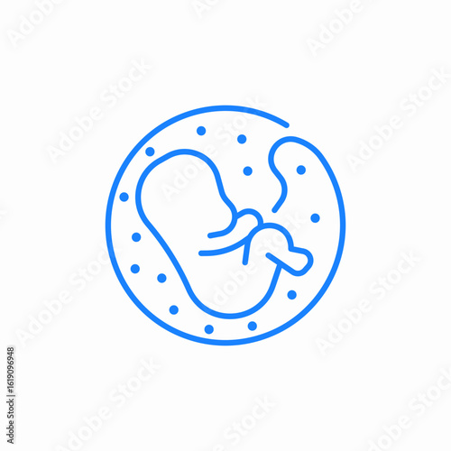 pregnancy fetal development fetus icon sign vector