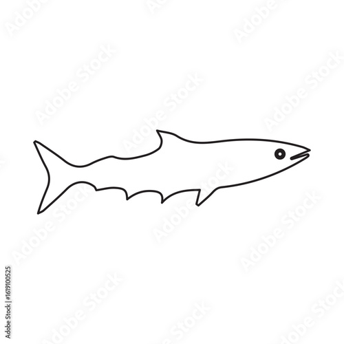 Mackerel line icon