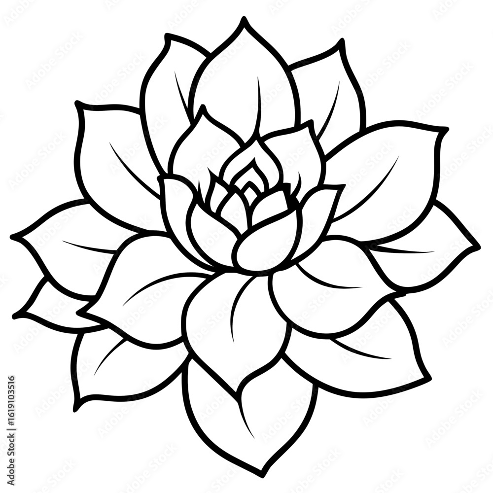 Fototapeta premium Floral Elegance