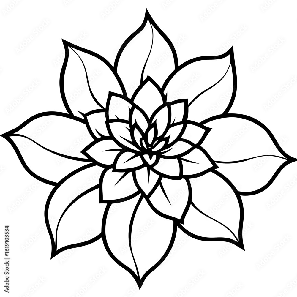 Fototapeta premium Floral Elegance