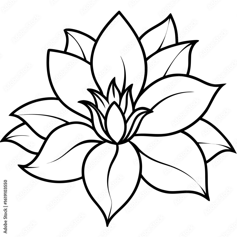 Fototapeta premium Floral Elegance