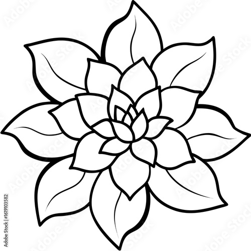 Floral Elegance
