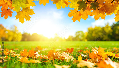 秋の景色　落ち葉のある芝生の公園の風景。晴れ。紅葉。青空。Autumn scenery: A park with grass and fallen leaves. Sunny. Autumn leaves. Blue sky.