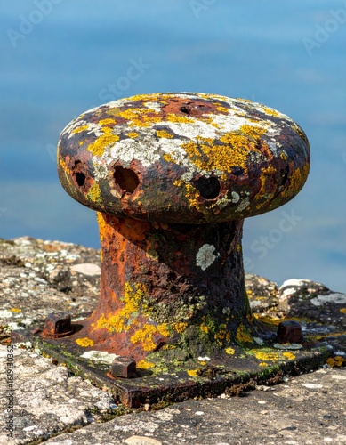 Close Up of a Rusted Iron Bollard with Lichen near Dockside Harbor on Concrete Pier
