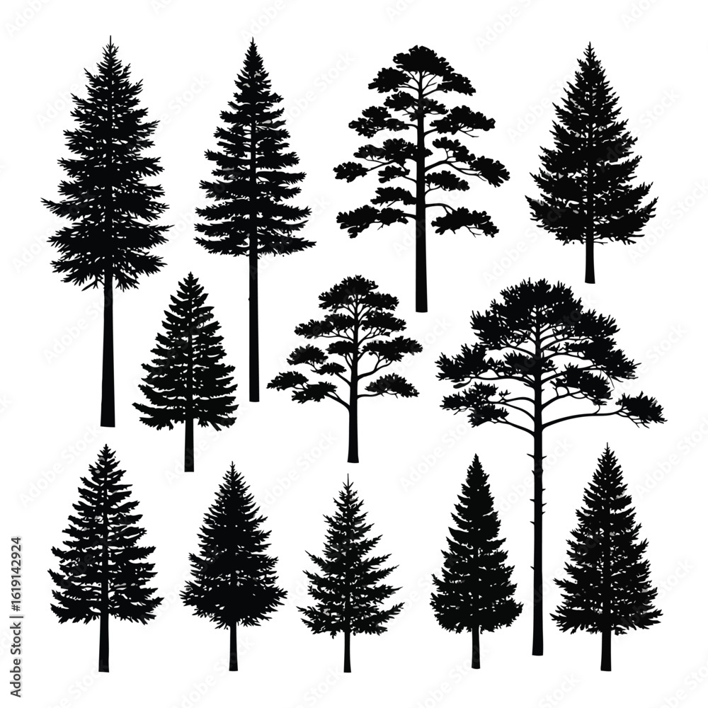 Obraz premium Vector art of a diverse collection of coniferous tree silhouettes showcasing various species and shapes in a vector format