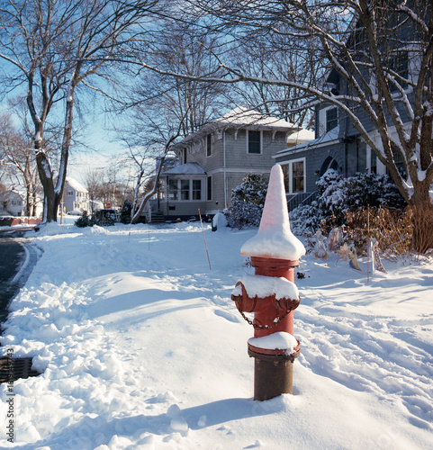 fire hydrant in winter