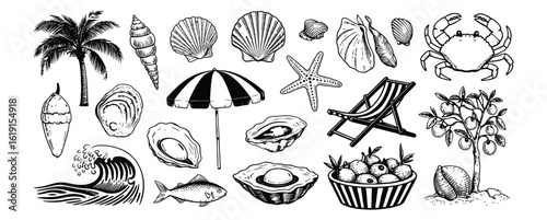 Vector art of beach themed illustrations isolated on white background a collection of summer vacation elements including palm trees, seashells, and beach chairs for travel and holiday designs