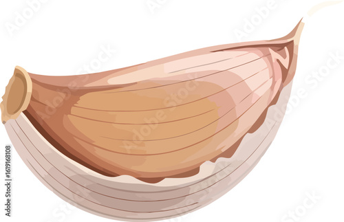A single clove of garlic, depicted in a detailed illustration, showcasing its shape, texture, and layers.