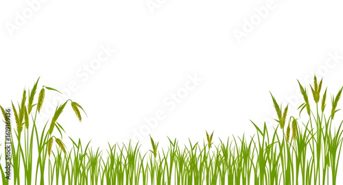 Rice farm view, Rice seedlings, Terraced rice fields, Rural farming scene, Rice harvest, Rice planting season, Rice field scenery, Agricultural terrace, Paddy field in Asia, Rice plant closeup, Rice f
