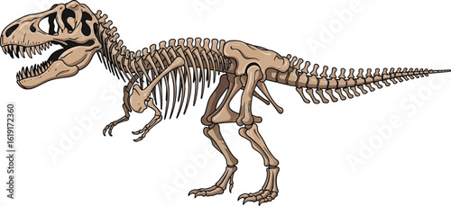 Illustration of a Tyrannosaurus Rex skeleton, showcasing its bone structure and anatomy on a white background.