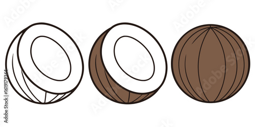 Coconut halves and whole fruit tropical food