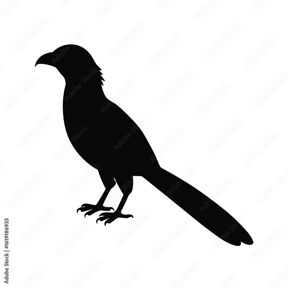 Fototapeta premium koel-silhouette-on-white-background