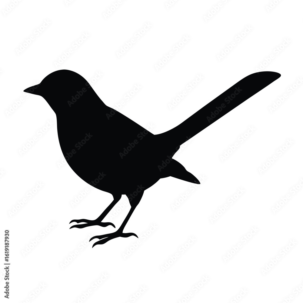 Obraz premium nightingale-silhouette-on-white-background