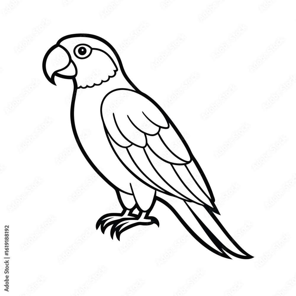 Obraz premium parrot on a white background