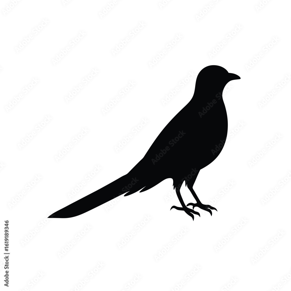 Obraz premium cuckoo-silhouette-on-white-background