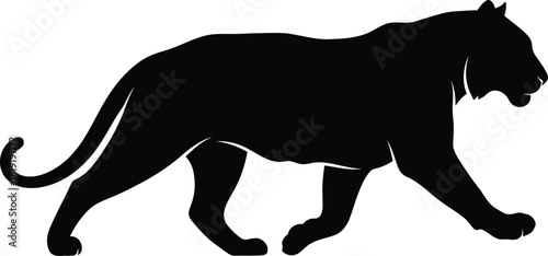 Black silhouette of a walking panther on a white background animal 1