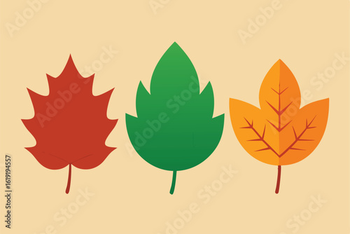 autumn leaves in various stages of color change