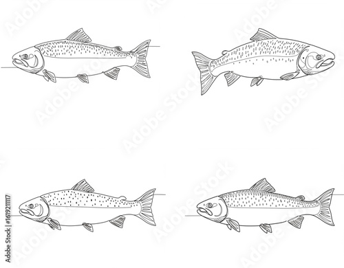 "Set of Salmon Fish Line Art Illustrations – Aquatic Animal Coloring Pages"

