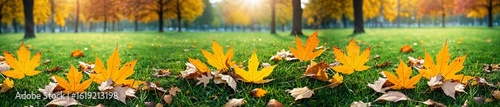 vibrant autumn leaves scatt...