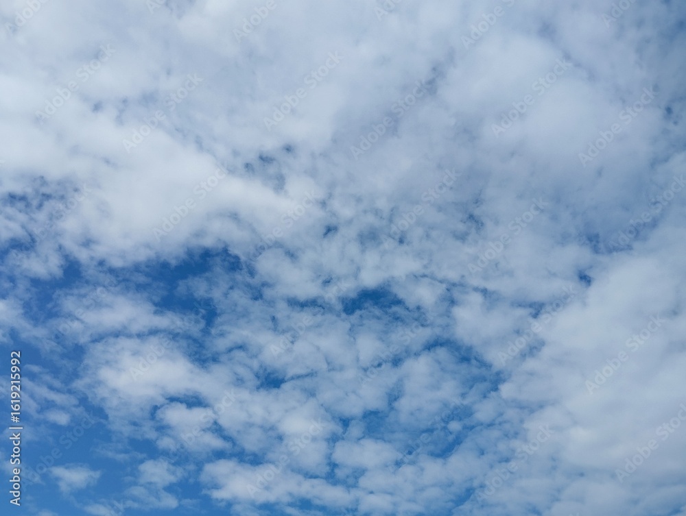 Fototapeta premium clouds in the sky