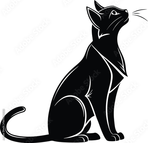 Black cat sitting looking upwards vector