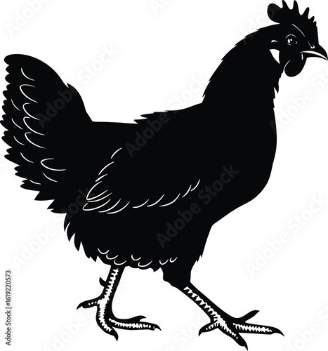 Black chicken silhouette walking fowl poultry