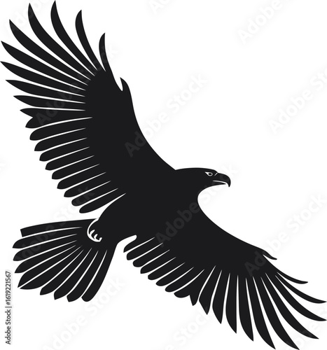 Black eagle soaring with spread wings bird flight