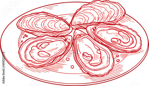 Delicious fresh oysters served on a plate with a sketch art style