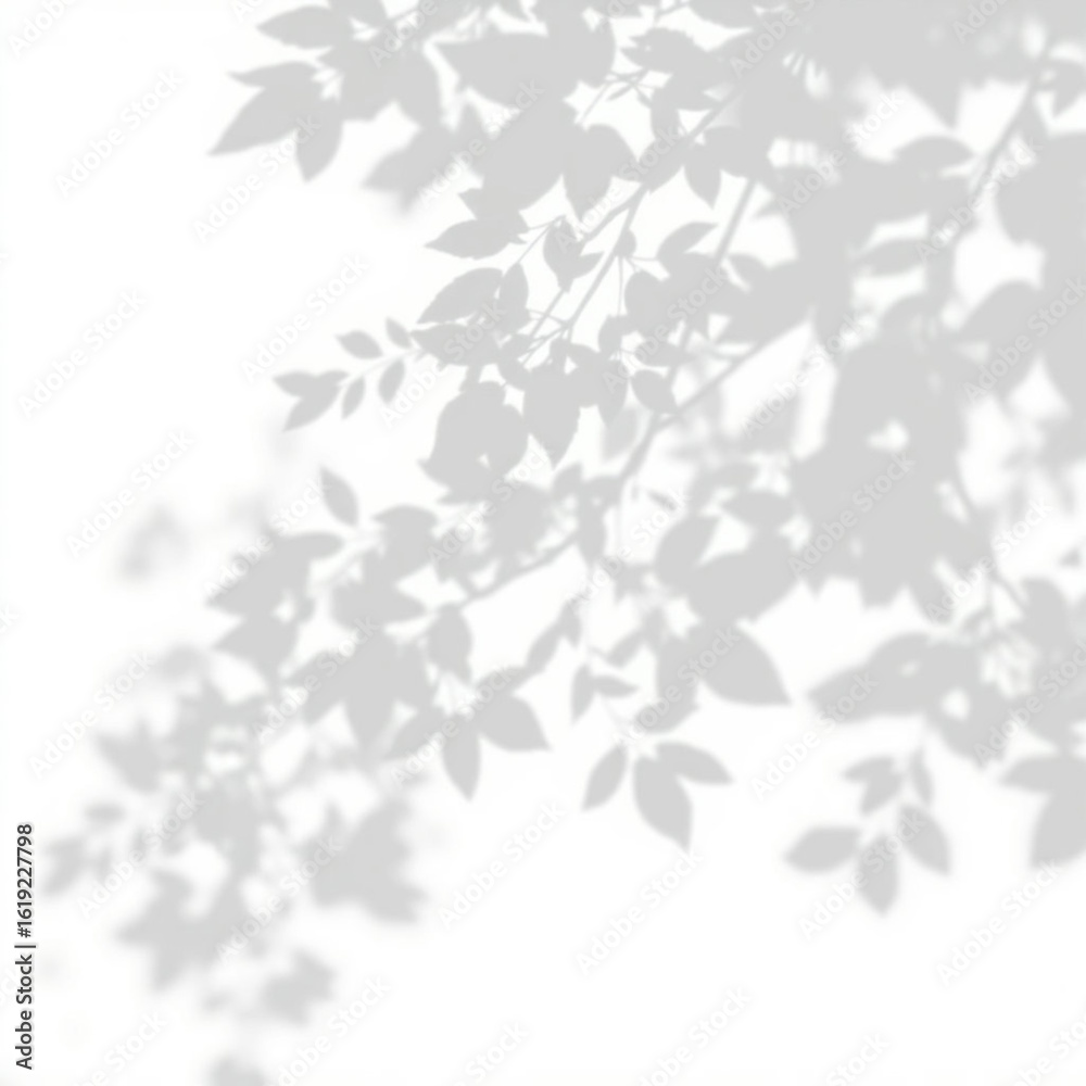 Fototapeta premium shadow overlay effect. Gray shadow of leaves isolated on white background. Plant foliage leaf shadow light effect. Mockup Blurred tree branch shadow. Ideal for summer spring design elements PNG