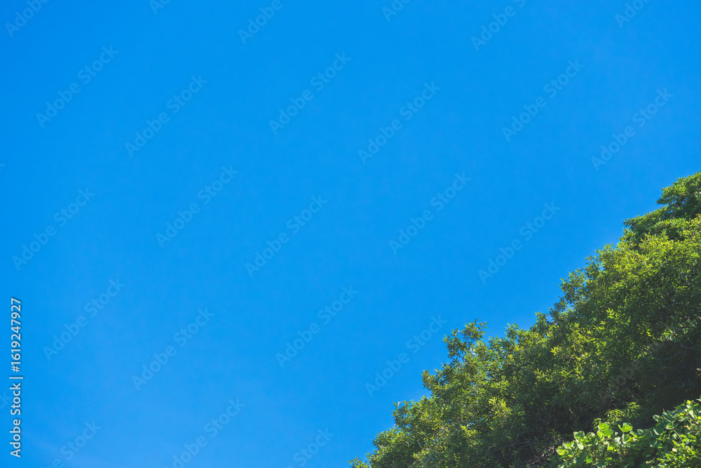 Obraz premium 夏の風景 青空と山の木々04