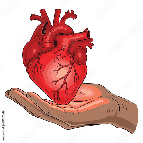 Hand holding stylized heart illustration symbol of health care donation and love