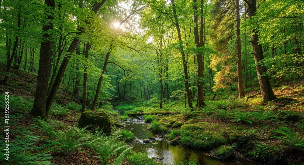 Fototapeta premium Lush Green Forest Scene with Stream and Sunlight