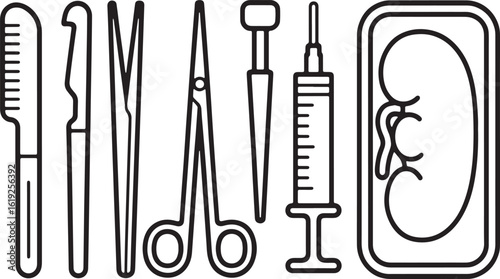 Surgical instruments and anatomical kidney illustration medical tools anatomy