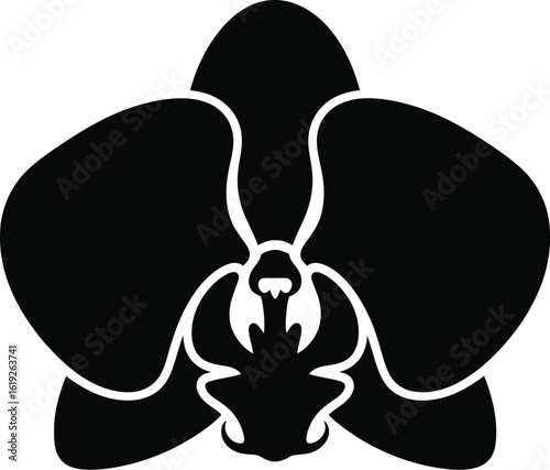Black orchid silhouette flower white