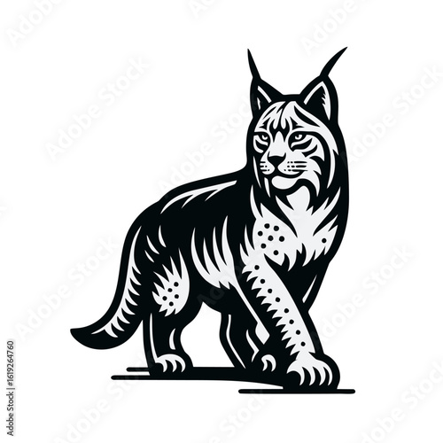 stylized lynx illustrations in black and white, each with unique line work and poses, showcasing the animal's distinctive features.