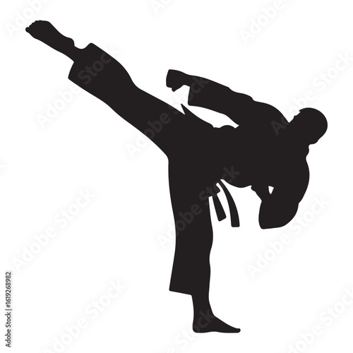 Dynamic silhouette of a martial artist executing a powerful side kick in a combat stance